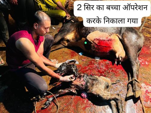 WhatsApp-Image-2025-05-03-at-2.53.19-PM